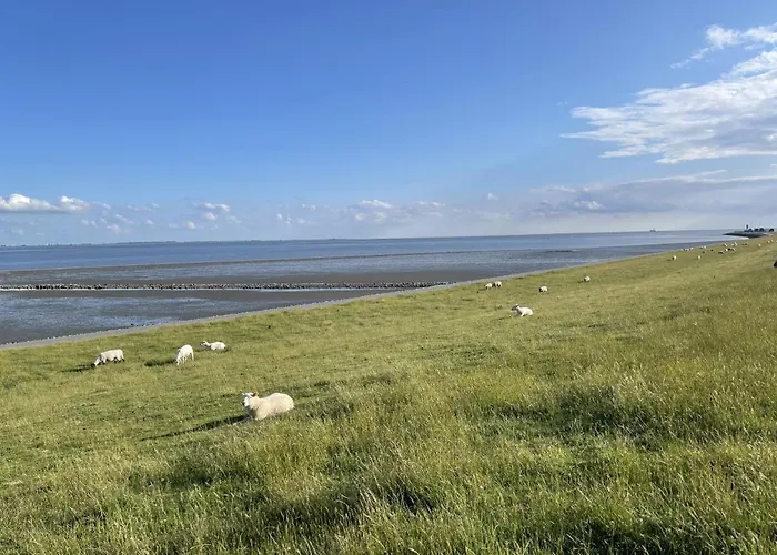 Seequartier 5 Appartement *